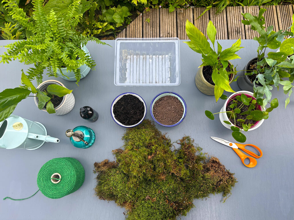 Making kokedama